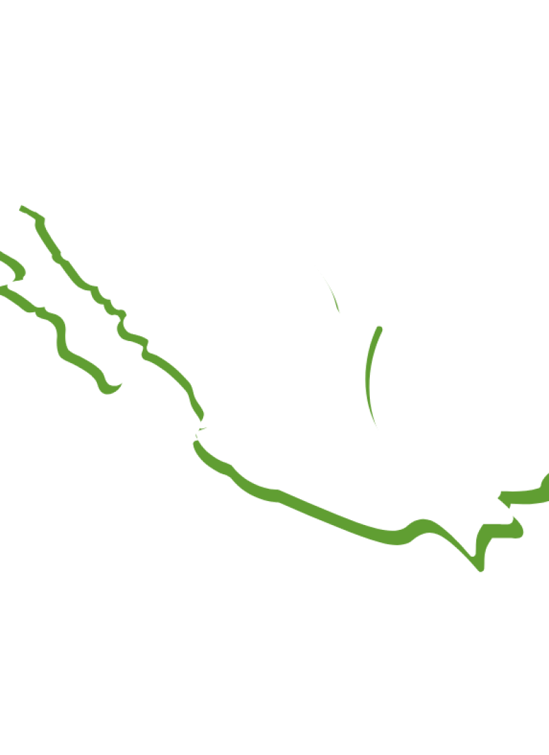 Diseño sin título